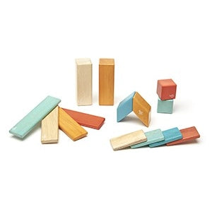 Tegu 14 Piece Magnetic Wooden Block Set - Assortment