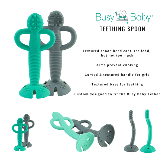 Busy Baby Teether and Training Spoon